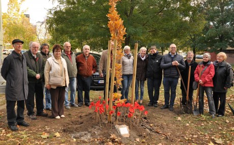 Békefát ültettek a 100 évvel ezelőtt véget ért első világháború áldozatainak emlékére